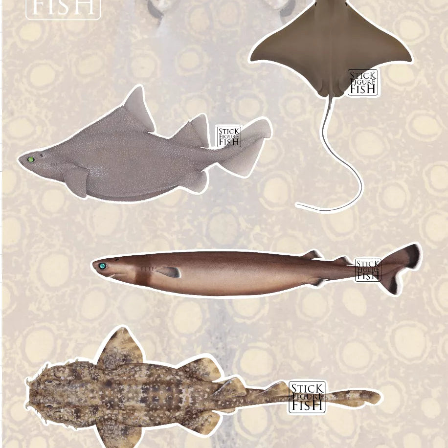Choose Your Species - Shark and Ray Sticker Sheet-Stick Figure Fish Illustration