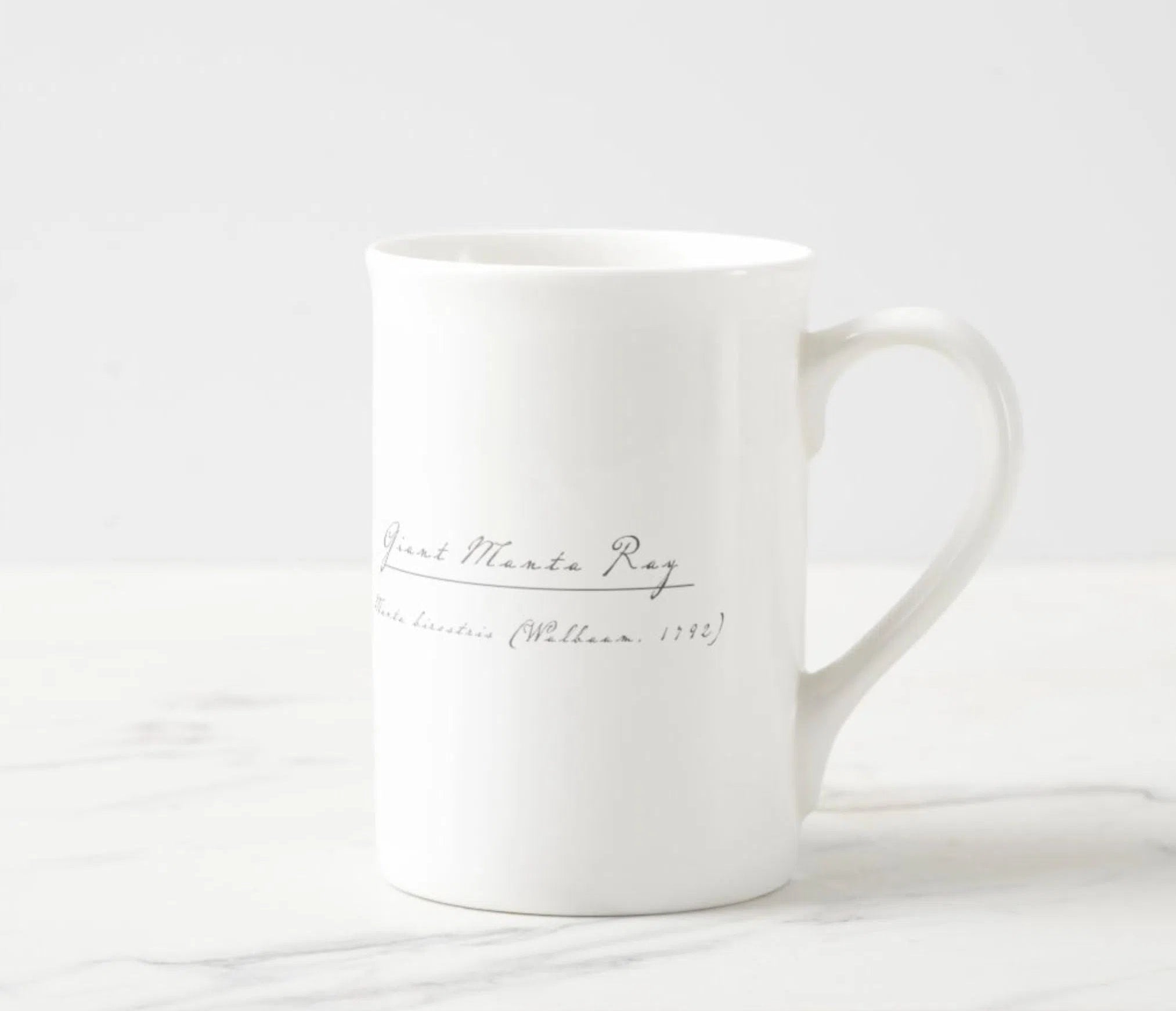 Choose Your Species - Shark or Ray - Fine Bone China Mug-Stick Figure Fish Illustration