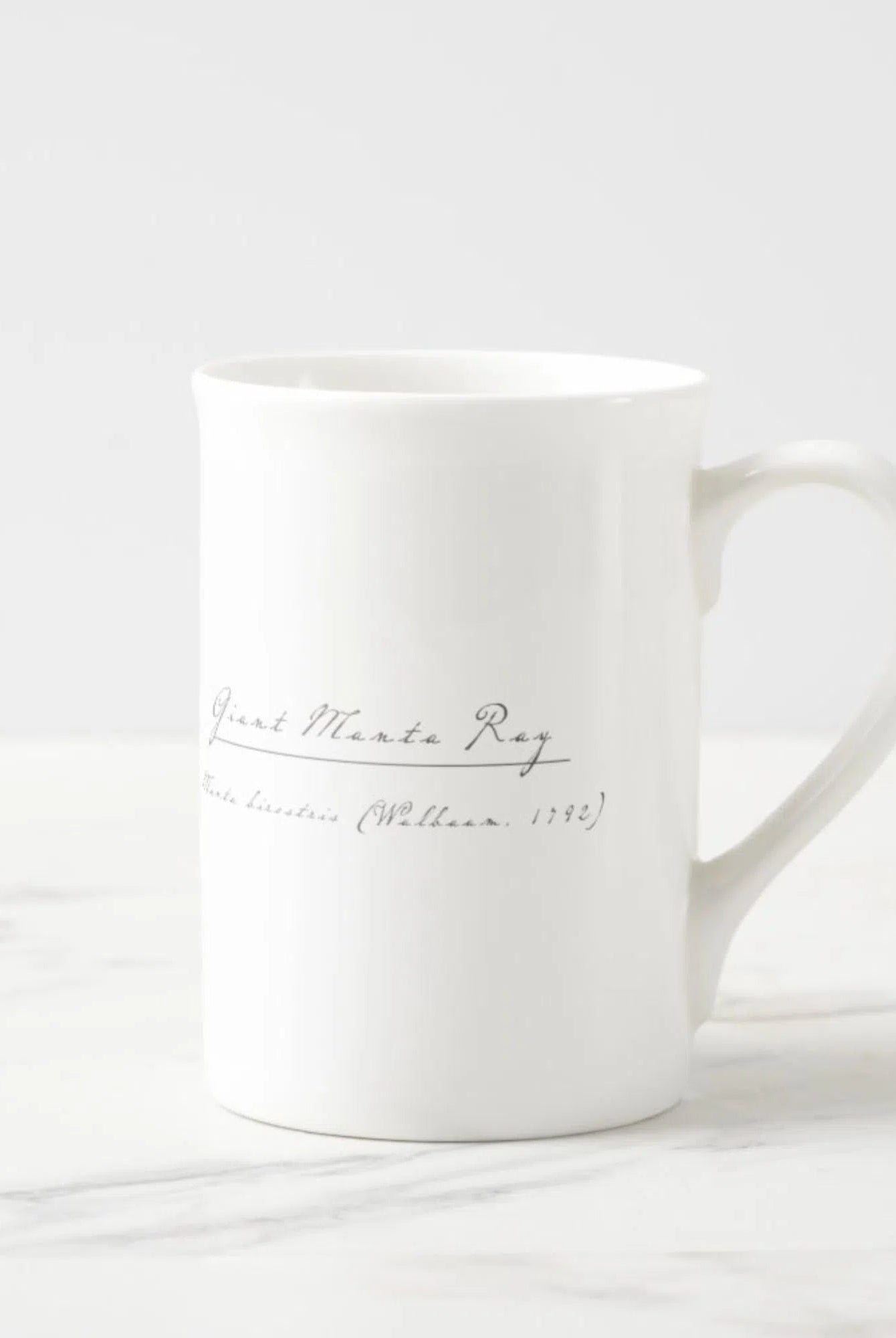 Choose Your Species - Shark or Ray - Fine Bone China Mug-Stick Figure Fish Illustration