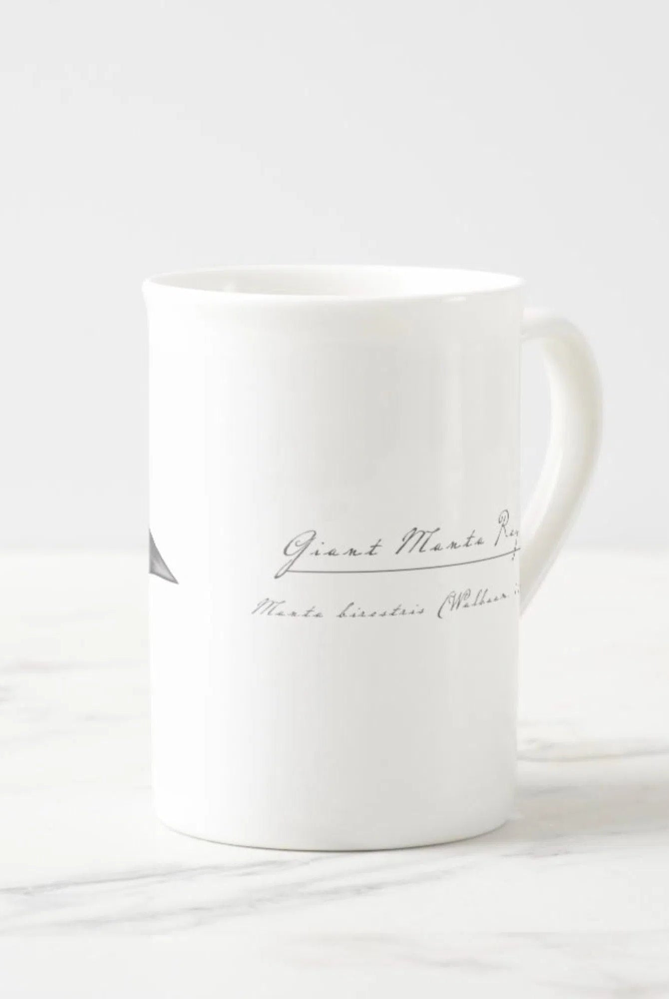 Choose Your Species - Shark or Ray - Fine Bone China Mug-Stick Figure Fish Illustration