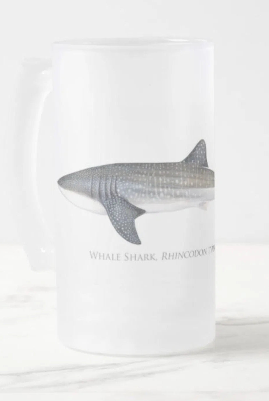 Choose Your Species - Shark or Ray - Frosted Glass Stein-Stick Figure Fish Illustration