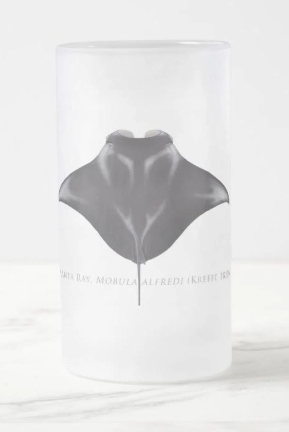 Choose Your Species - Shark or Ray - Frosted Glass Stein-Stick Figure Fish Illustration