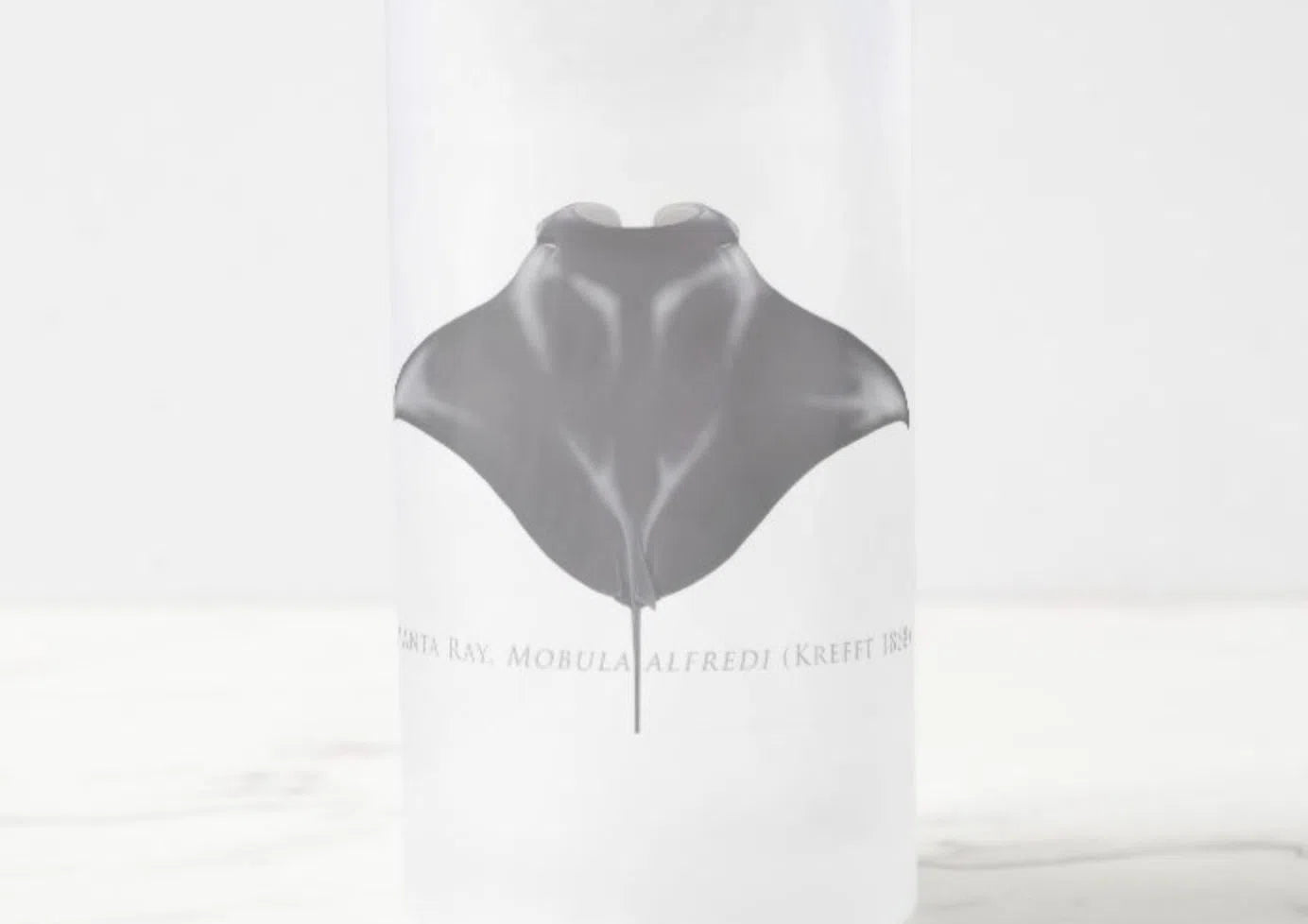 Choose Your Species - Shark or Ray - Frosted Glass Stein-Stick Figure Fish Illustration