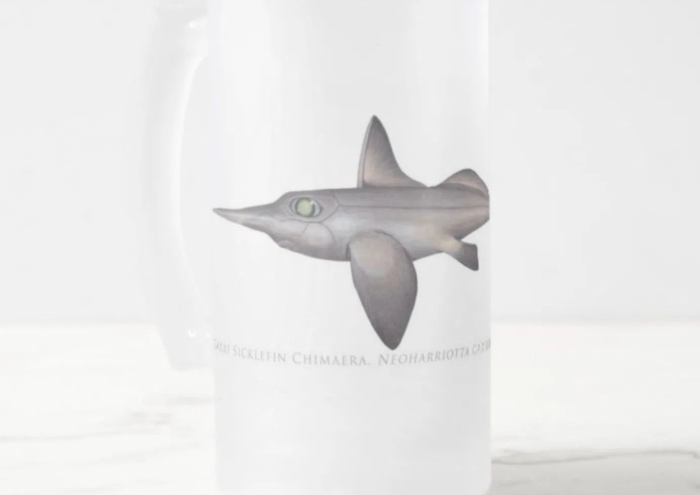 Choose Your Species - Shark or Ray - Frosted Glass Stein-Stick Figure Fish Illustration