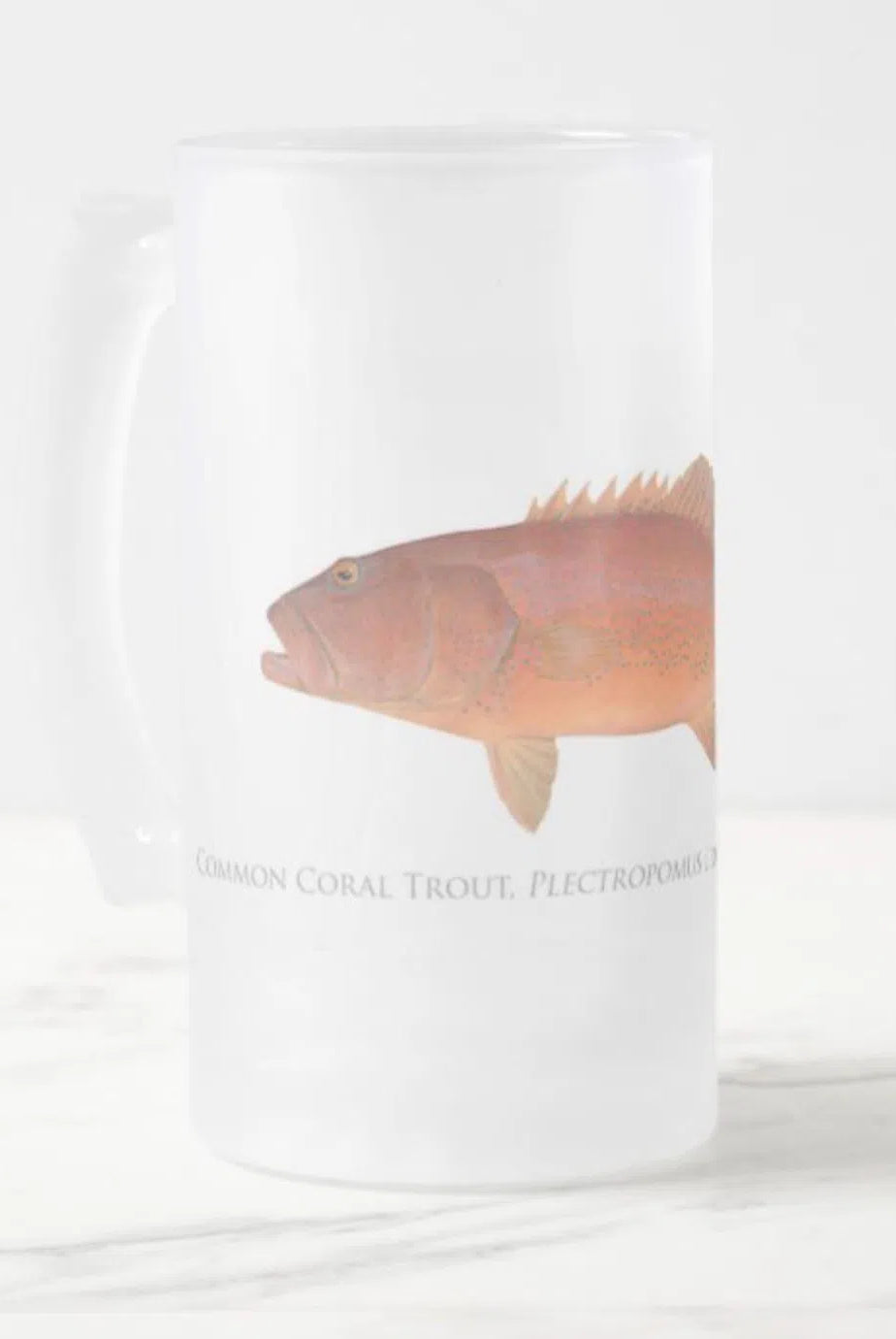 Common Coral Trout - Frosted Glass Stein-Stick Figure Fish Illustration