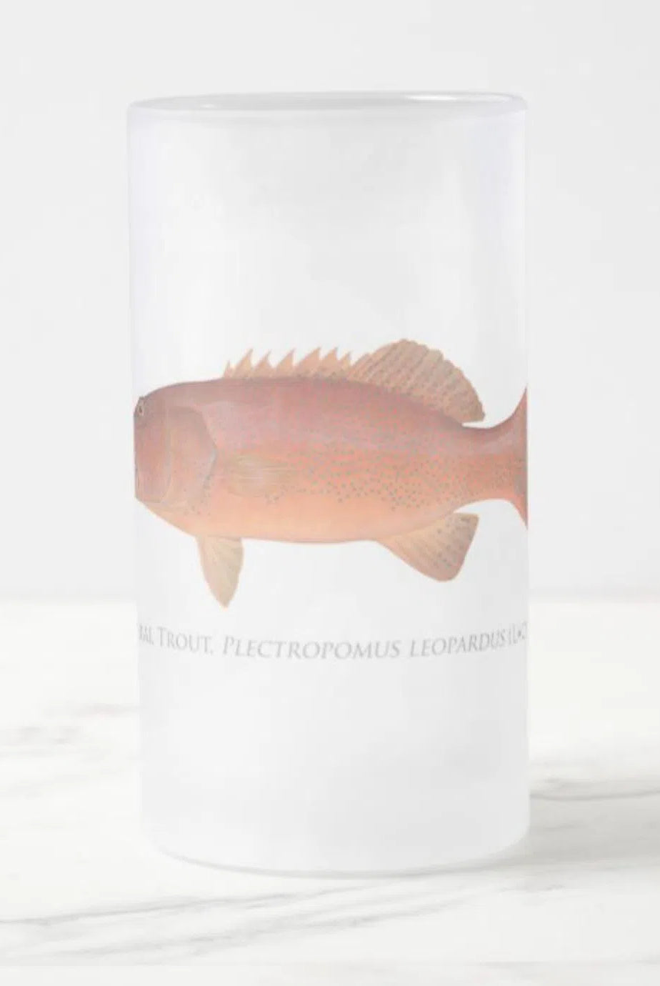Common Coral Trout - Frosted Glass Stein-Stick Figure Fish Illustration