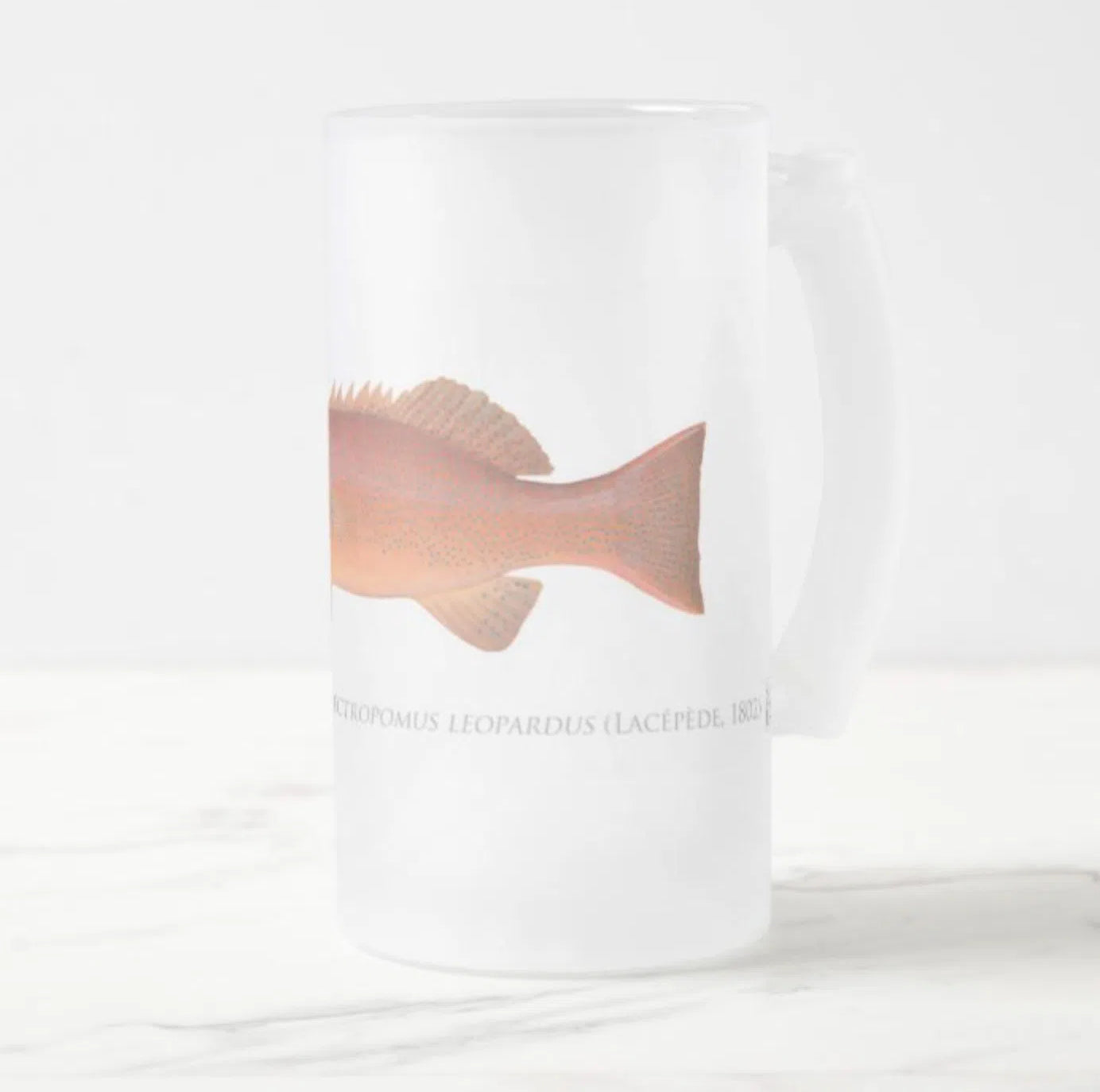 Common Coral Trout - Frosted Glass Stein-Stick Figure Fish Illustration