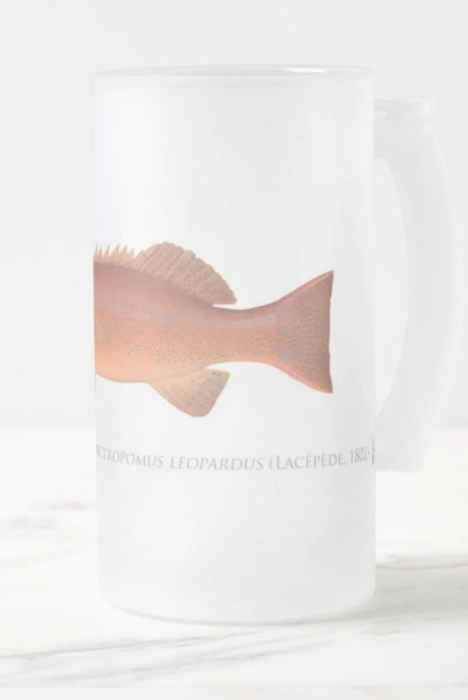 Common Coral Trout - Frosted Glass Stein-Stick Figure Fish Illustration