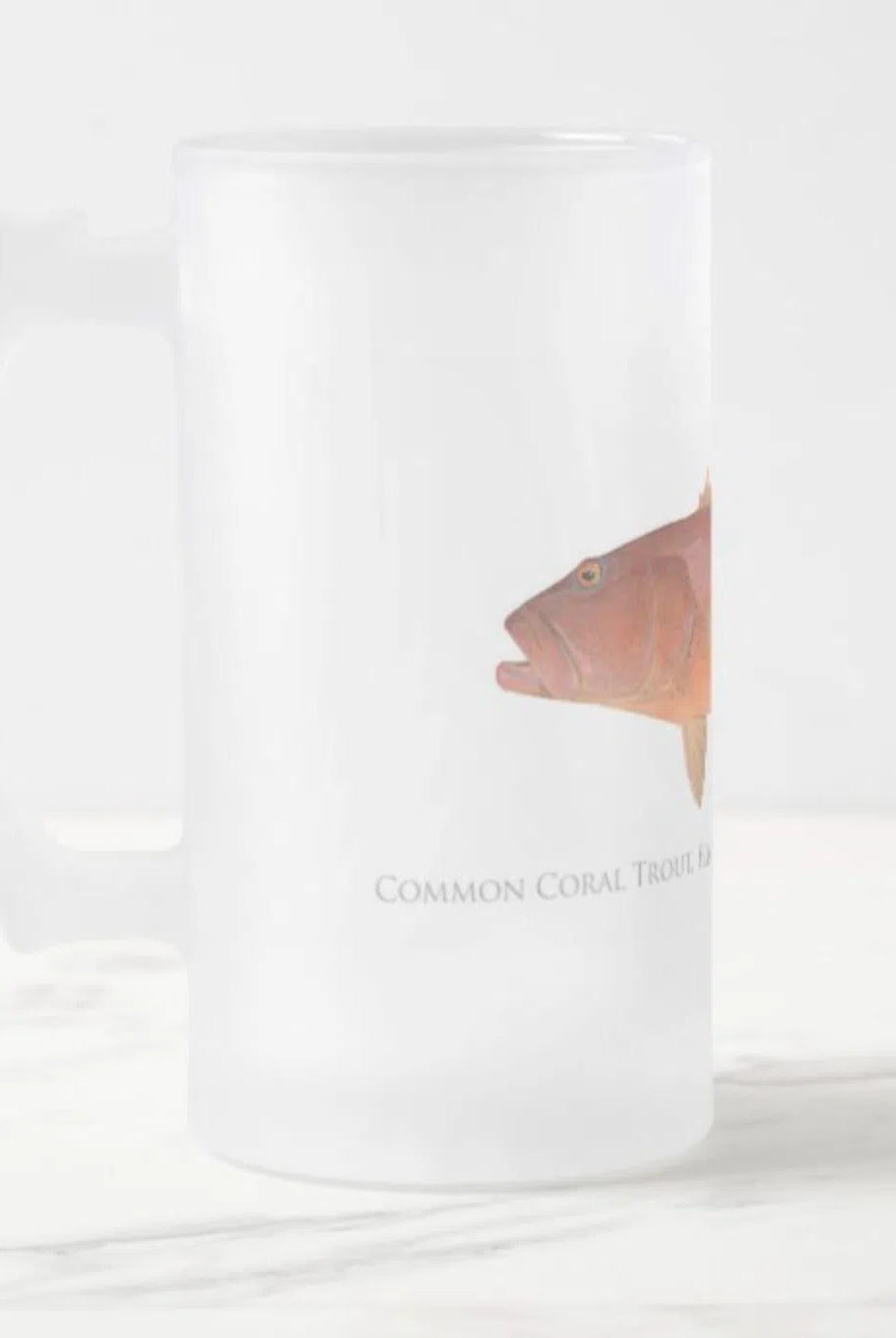 Common Coral Trout - Frosted Glass Stein-Stick Figure Fish Illustration