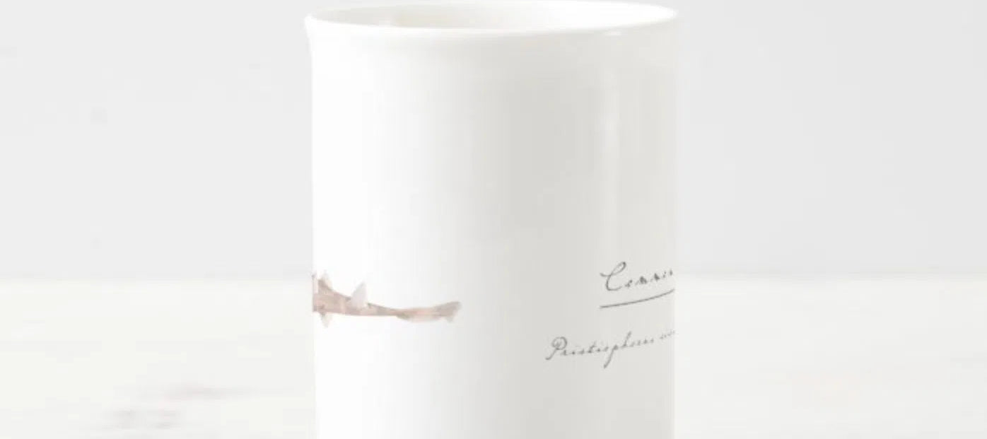 Common Sawshark - Fine Bone China Mug-Stick Figure Fish Illustration
