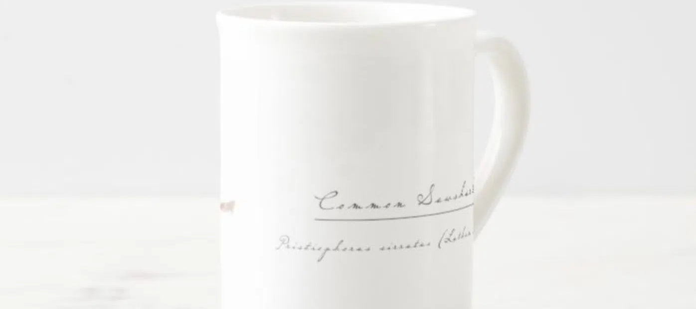 Common Sawshark - Fine Bone China Mug-Stick Figure Fish Illustration