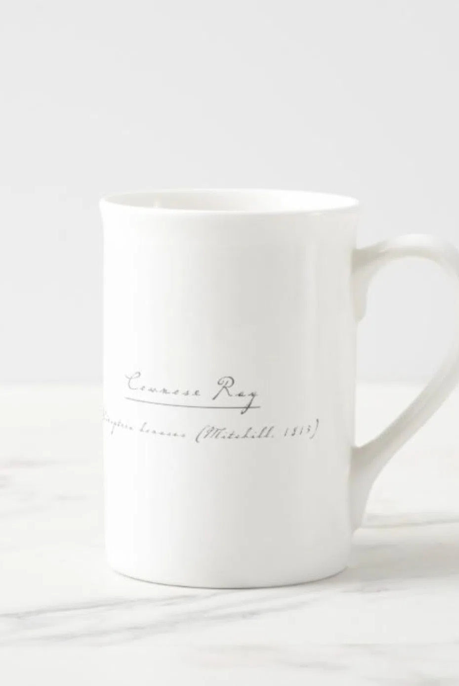 Cownose Ray - Fine Bone China Mug-Stick Figure Fish Illustration