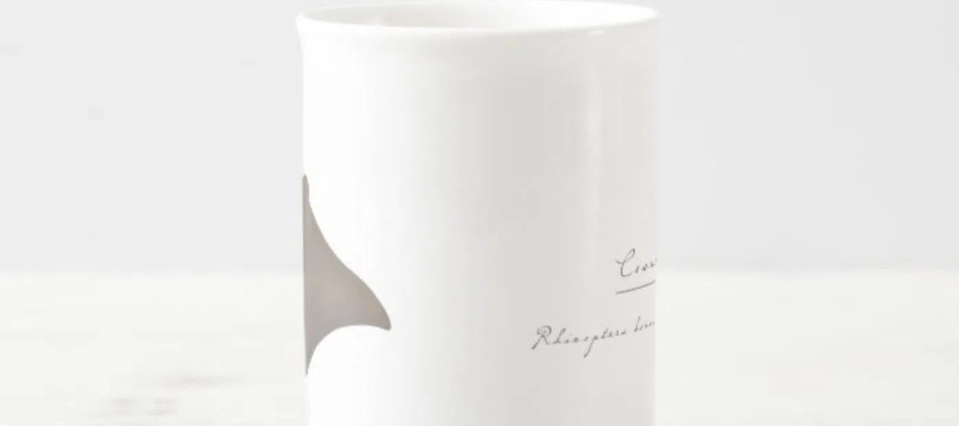 Cownose Ray - Fine Bone China Mug-Stick Figure Fish Illustration