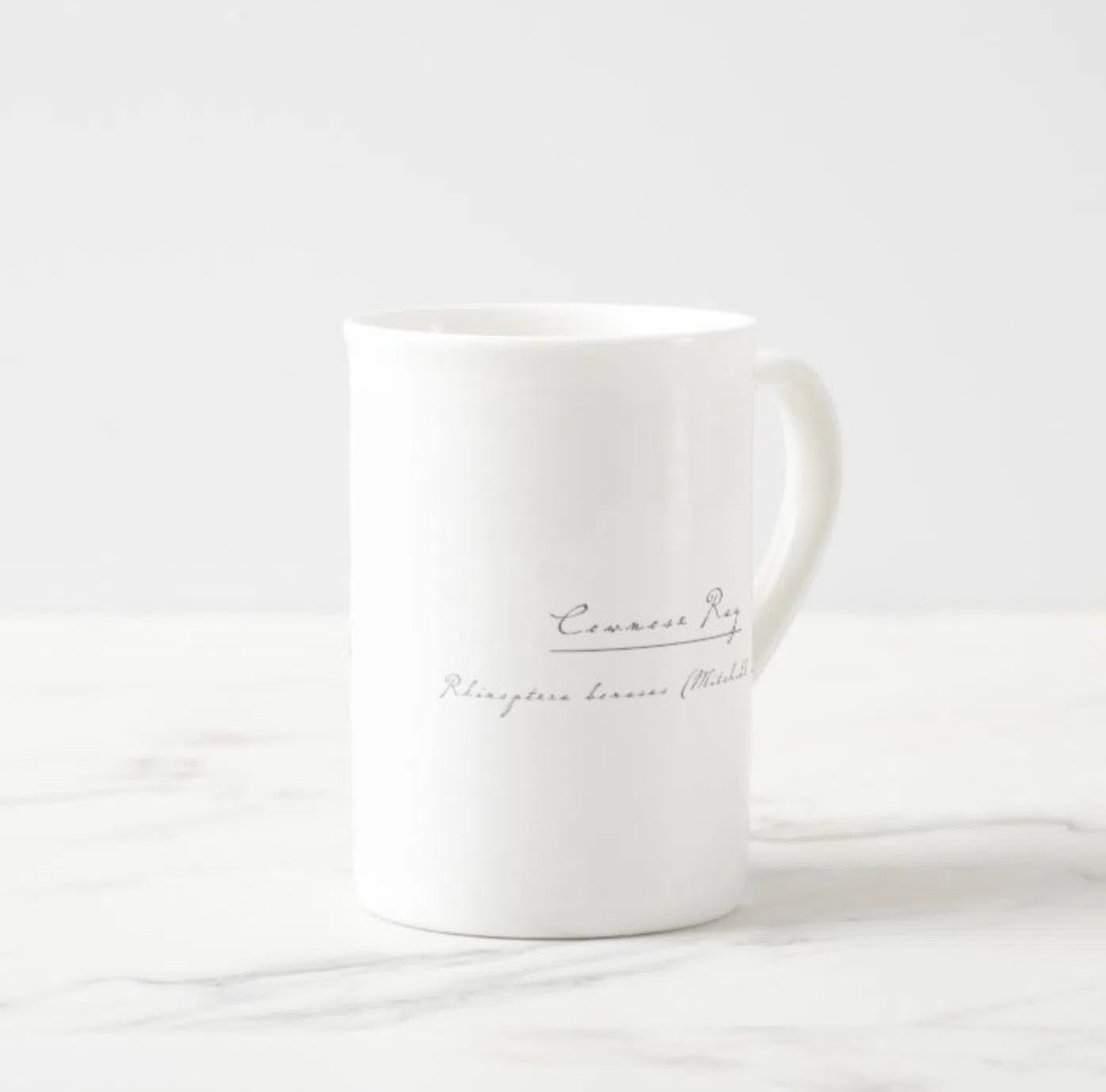 Cownose Ray - Fine Bone China Mug-Stick Figure Fish Illustration