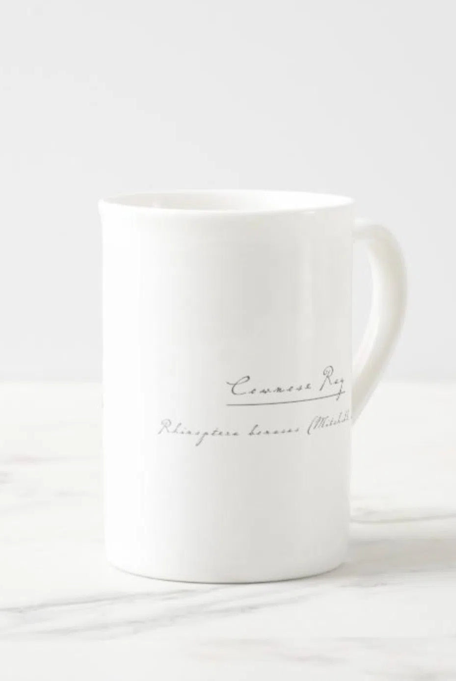 Cownose Ray - Fine Bone China Mug-Stick Figure Fish Illustration