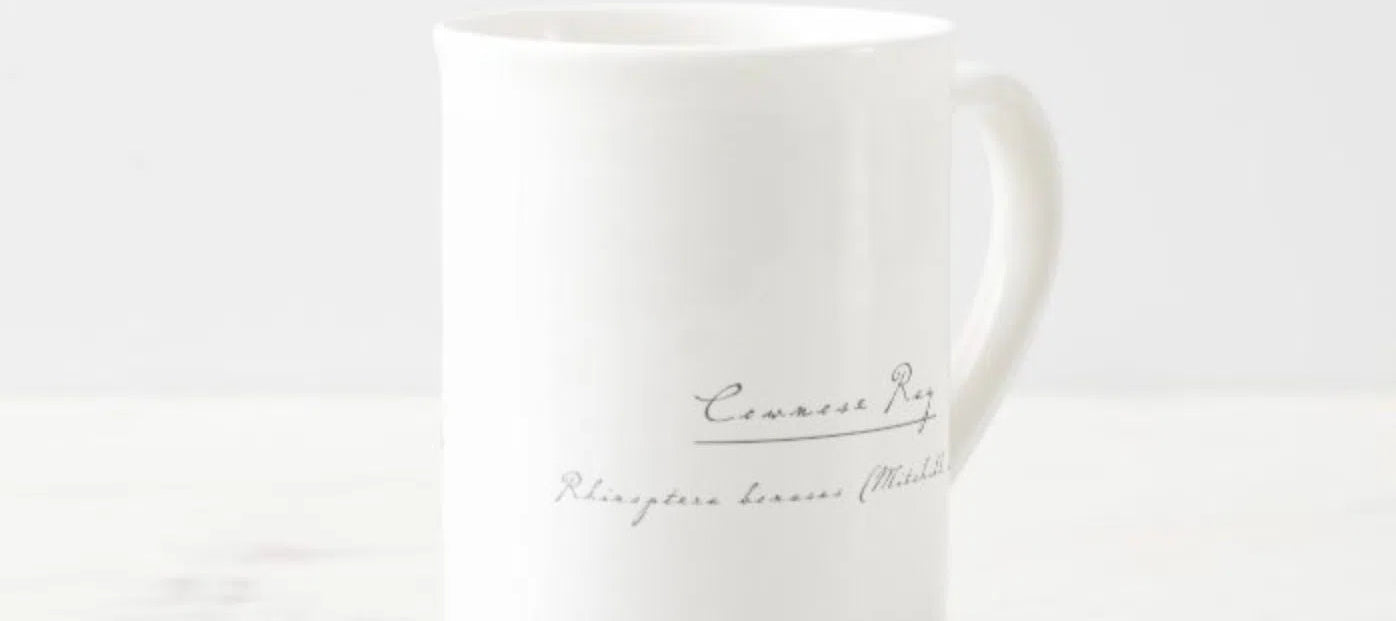 Cownose Ray - Fine Bone China Mug-Stick Figure Fish Illustration