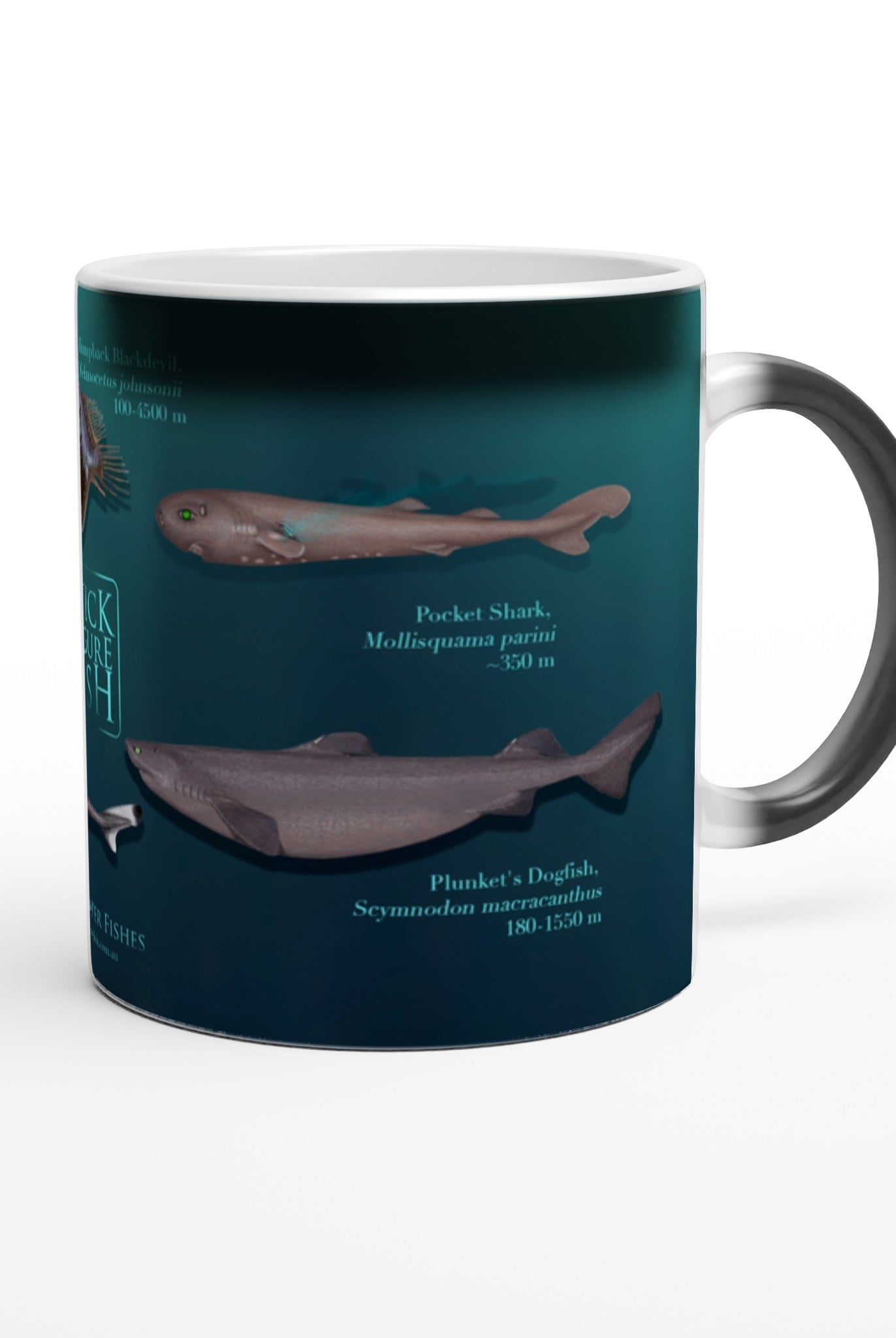 f4da4fdf-2a2a-438d-ae22-3920de637931