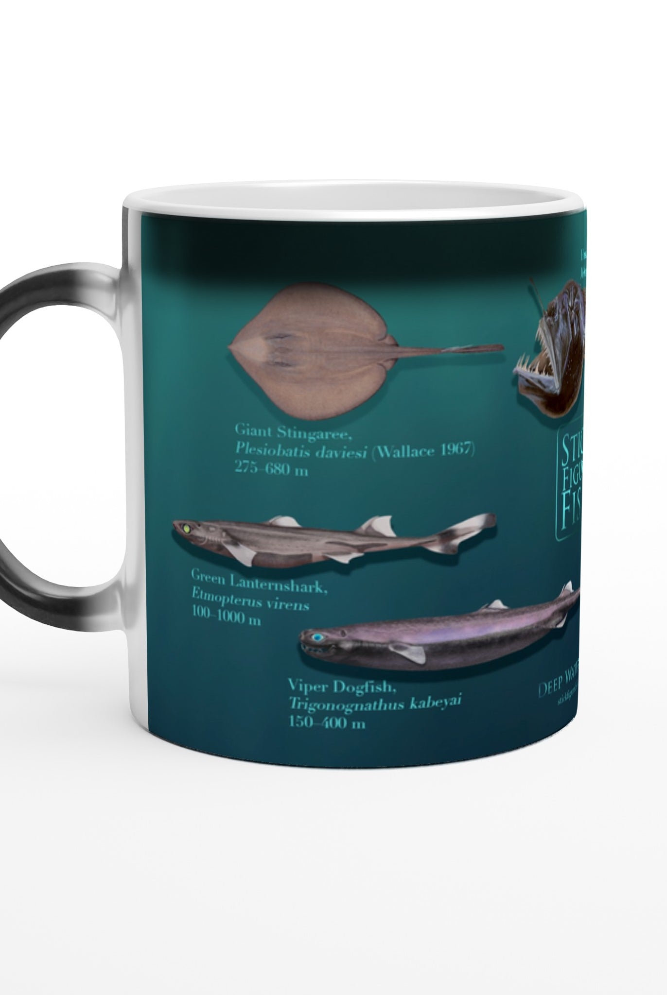 14b75104-c0db-434d-b747-8988b94048c6