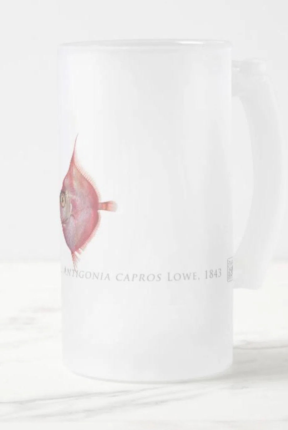 Deepbody Boarfish - Frosted Glass Stein-Stick Figure Fish Illustration