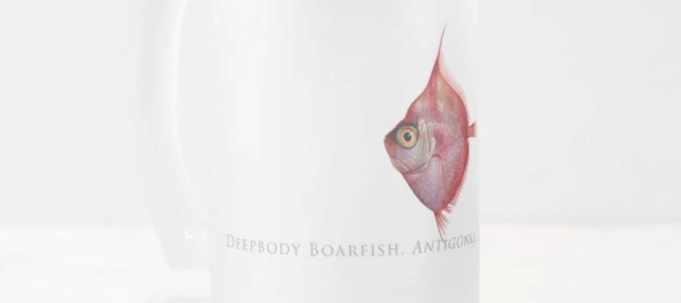 Deepbody Boarfish - Frosted Glass Stein-Stick Figure Fish Illustration