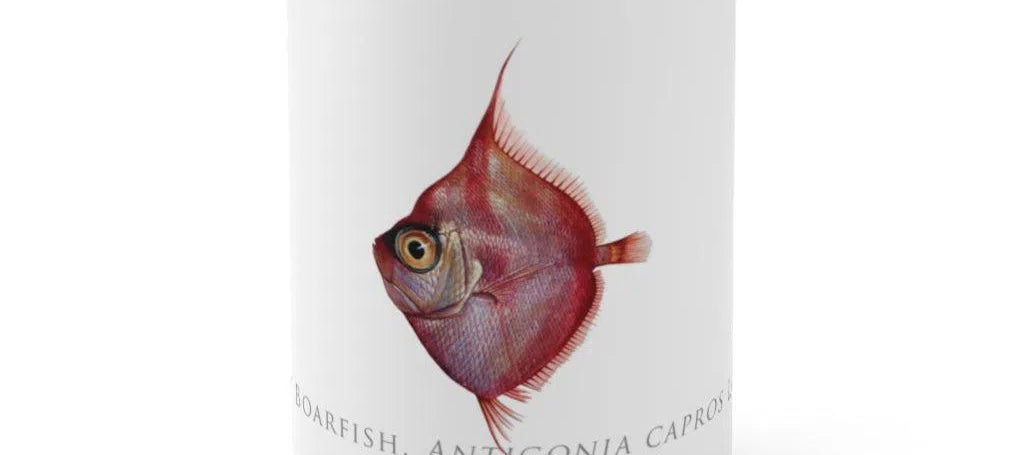 Deepbody Boarfish Mug-Stick Figure Fish Illustration