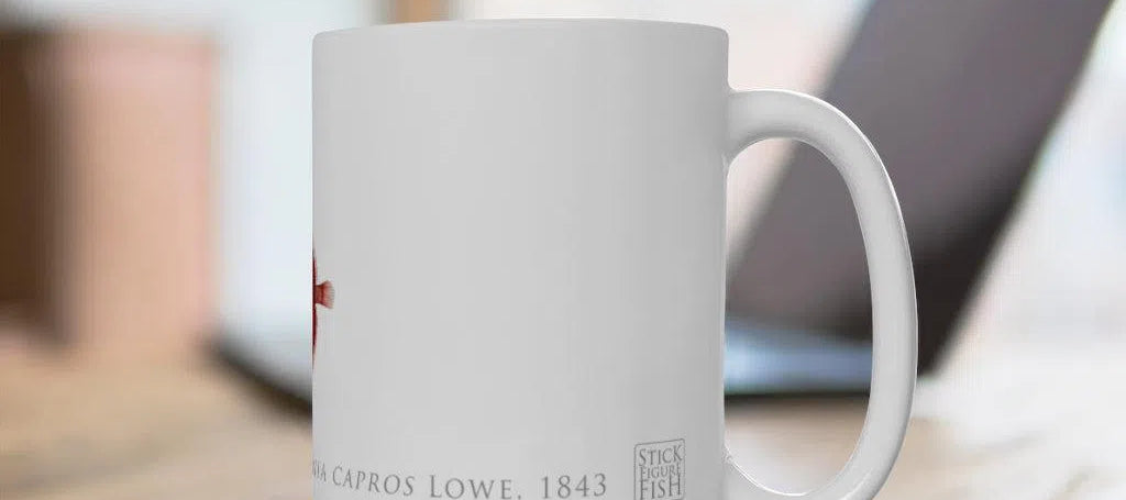 Deepbody Boarfish Mug-Stick Figure Fish Illustration