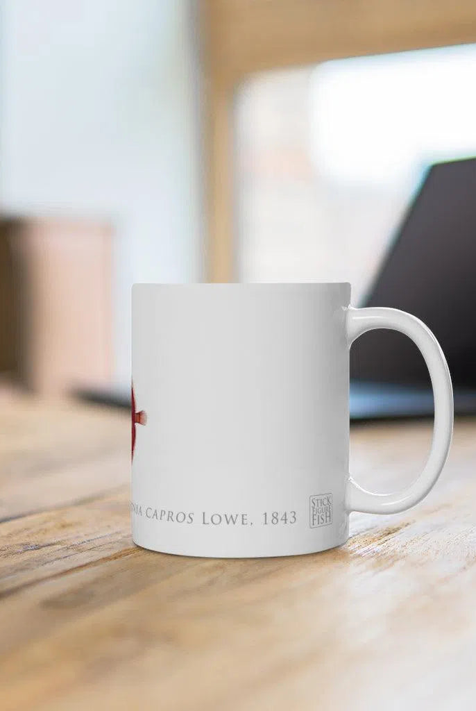 Deepbody Boarfish Mug-Stick Figure Fish Illustration