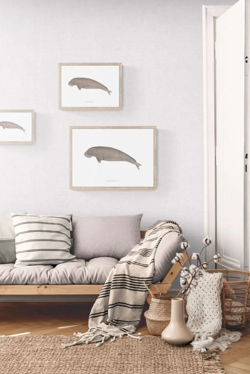Dugong (Sea Cow), Dugong dugon (Müller, 1776) - Fine Art Print-Stick Figure Fish Illustration