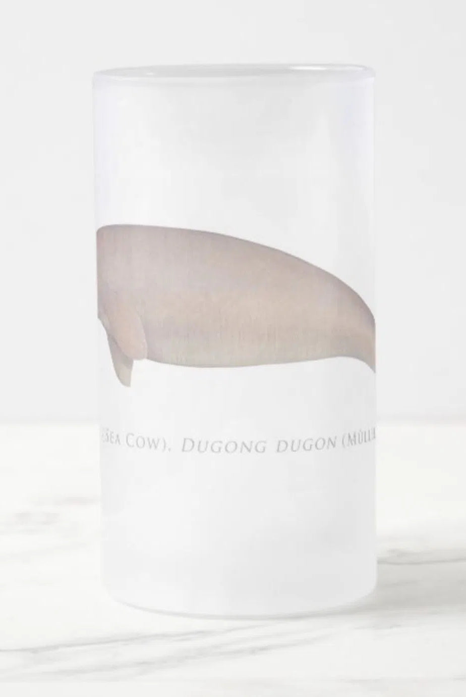 Dugong (Sea Cow) - Frosted Glass Stein-Stick Figure Fish Illustration