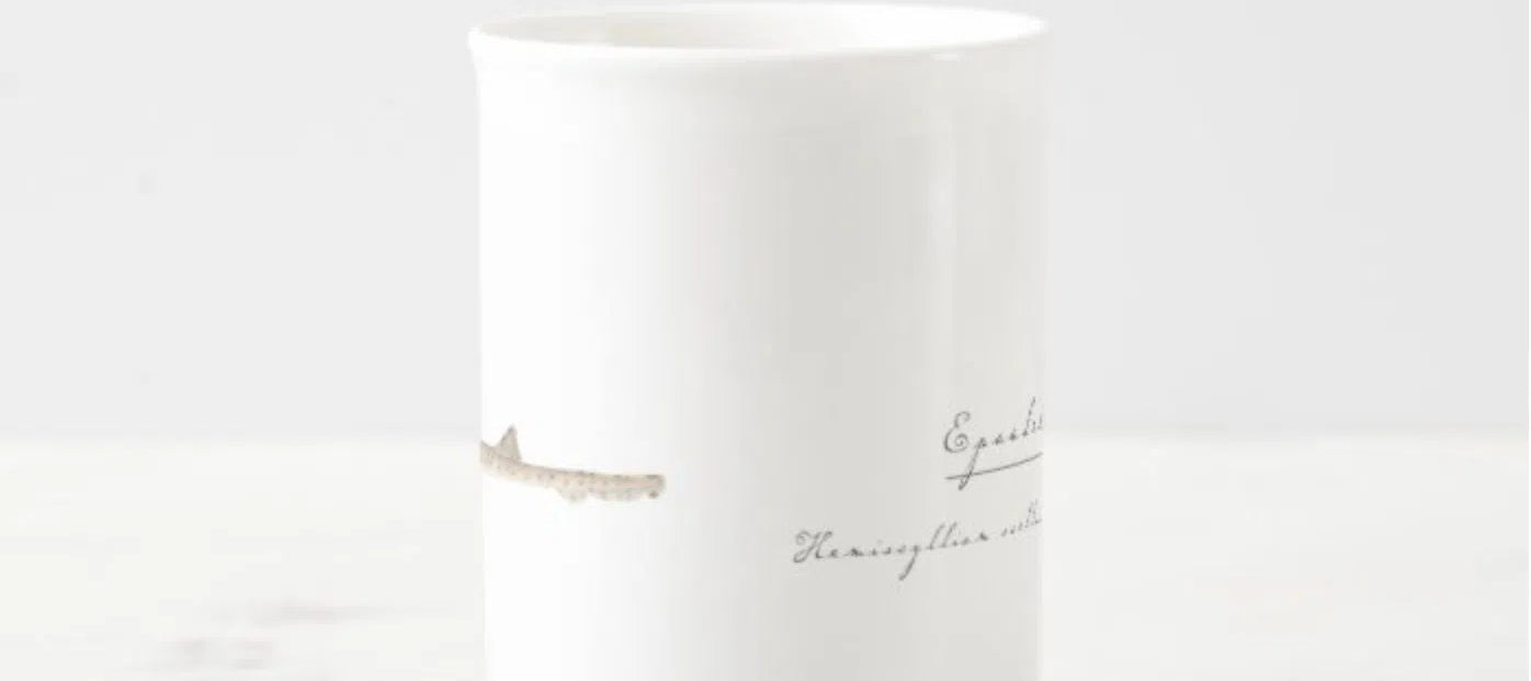 Epaulette Shark - Fine Bone China Mug-Stick Figure Fish Illustration
