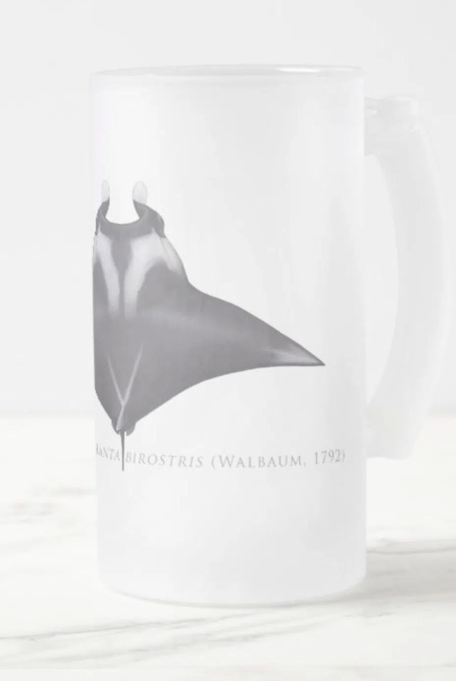 Giant Manta Ray - Frosted Glass Stein-Stick Figure Fish Illustration