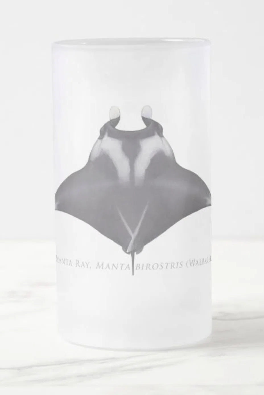 Giant Manta Ray - Frosted Glass Stein-Stick Figure Fish Illustration