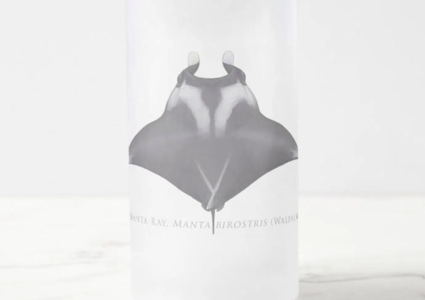 Giant Manta Ray - Frosted Glass Stein-Stick Figure Fish Illustration