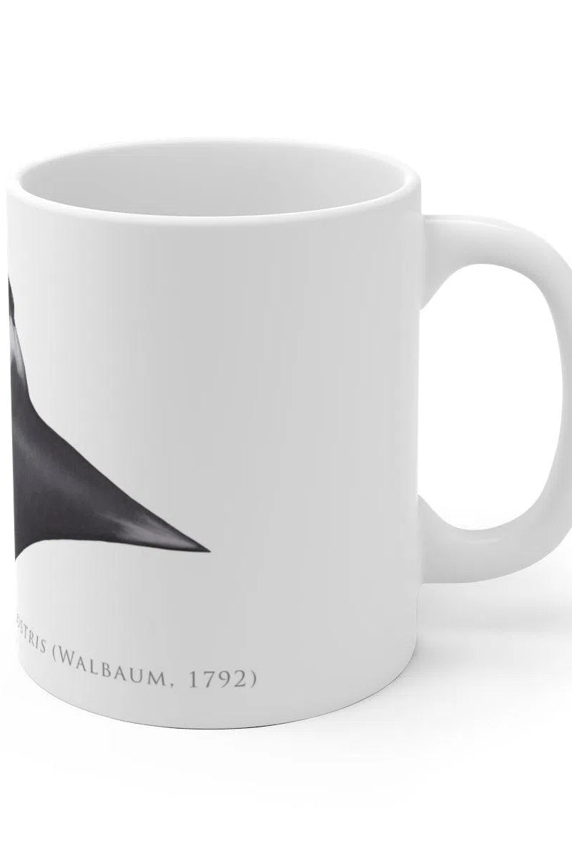 Giant Manta Ray Mug-Stick Figure Fish Illustration