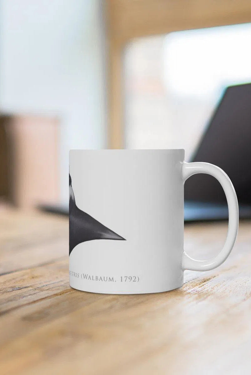 Giant Manta Ray Mug-Stick Figure Fish Illustration