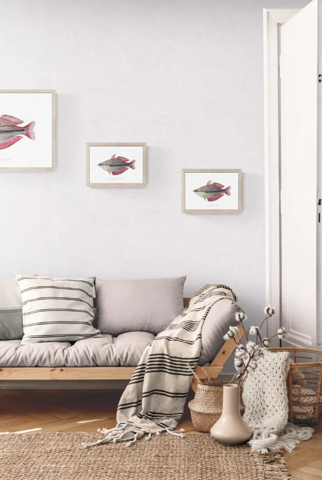 Goyder River Rainbow Fish - Fine Art Print-Stick Figure Fish Illustration