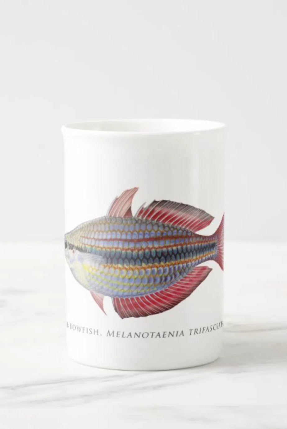 Goyder River Rainbowfish - Fine Bone China Mug-Stick Figure Fish Illustration