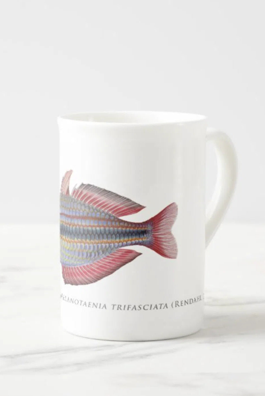 Goyder River Rainbowfish - Fine Bone China Mug-Stick Figure Fish Illustration