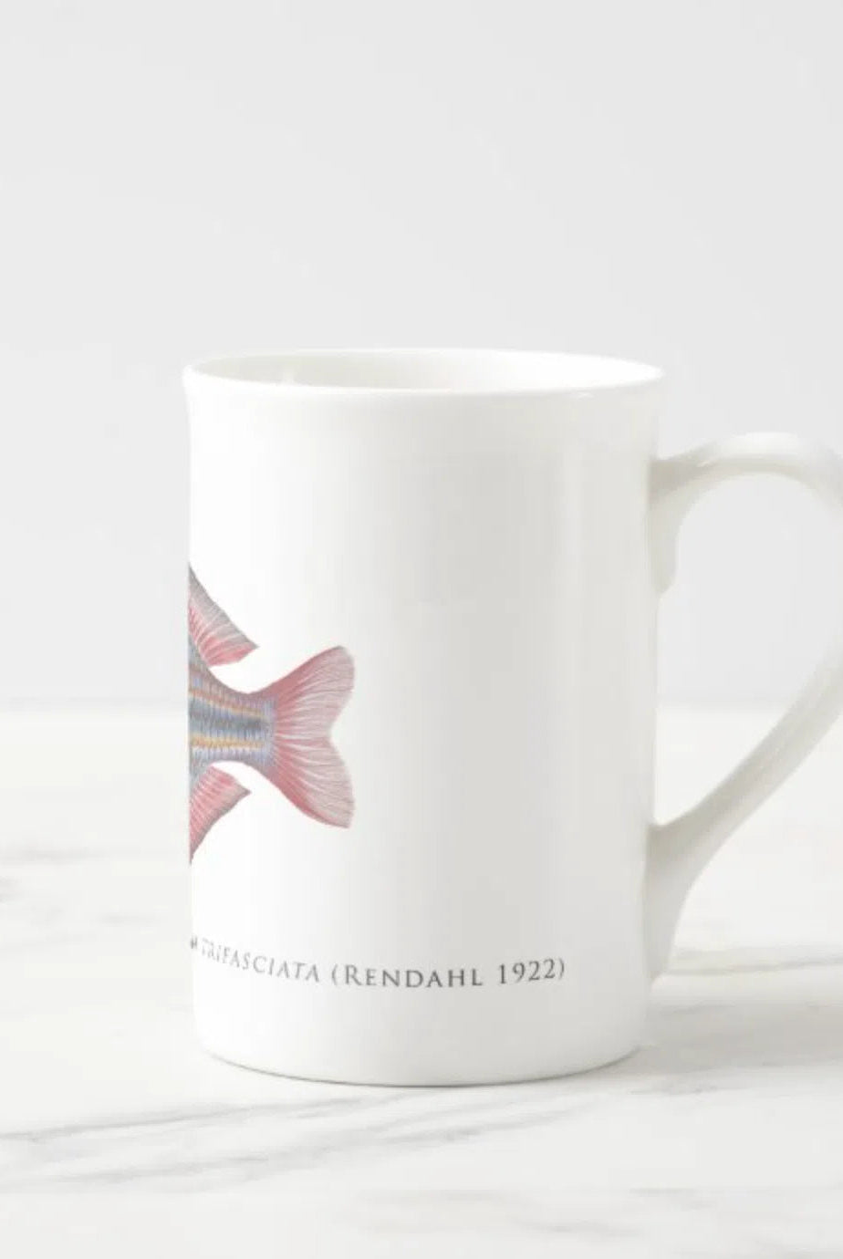 Goyder River Rainbowfish - Fine Bone China Mug-Stick Figure Fish Illustration