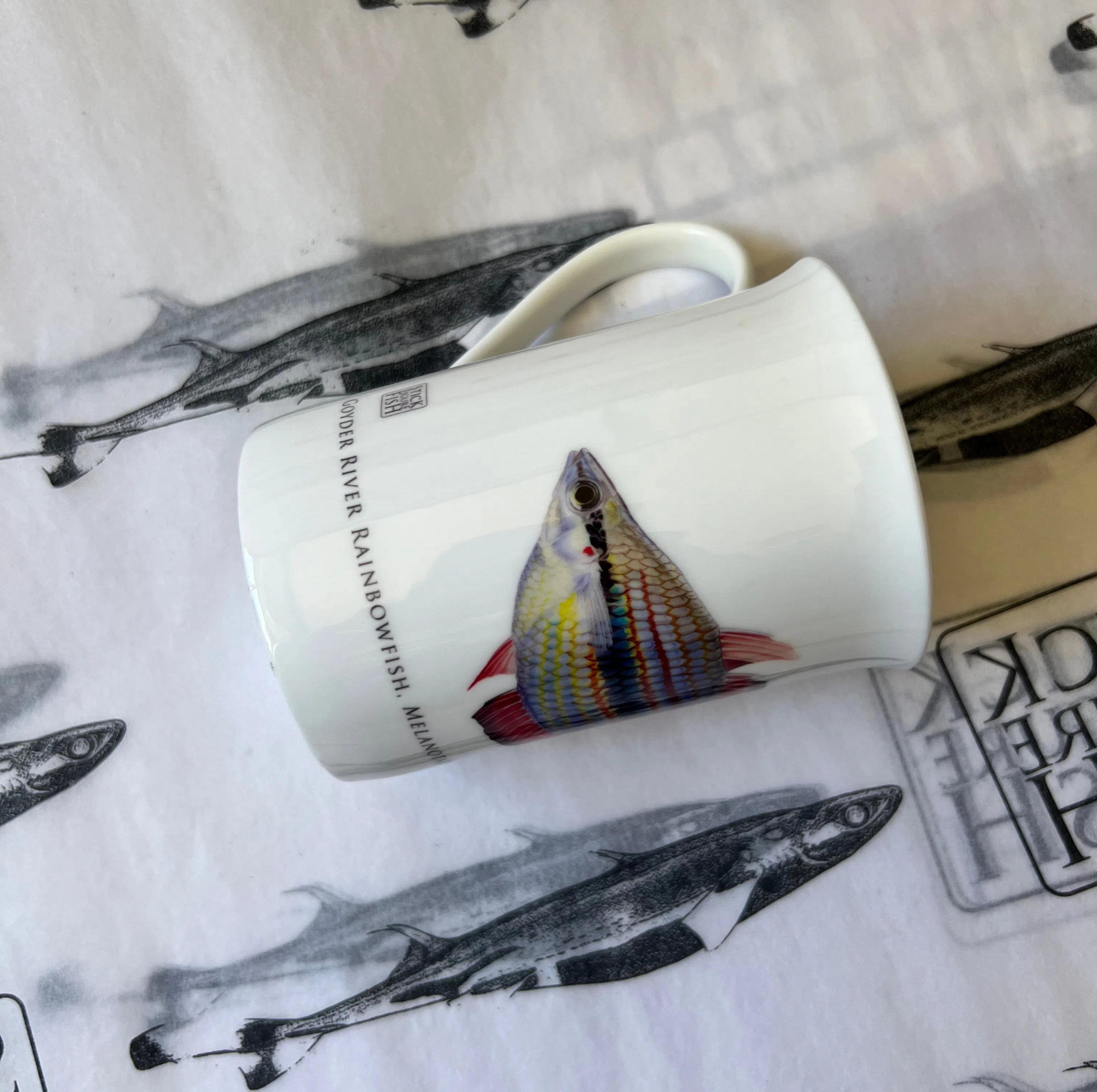 Goyder River Rainbowfish - Fine Bone China Mug-Stick Figure Fish Illustration