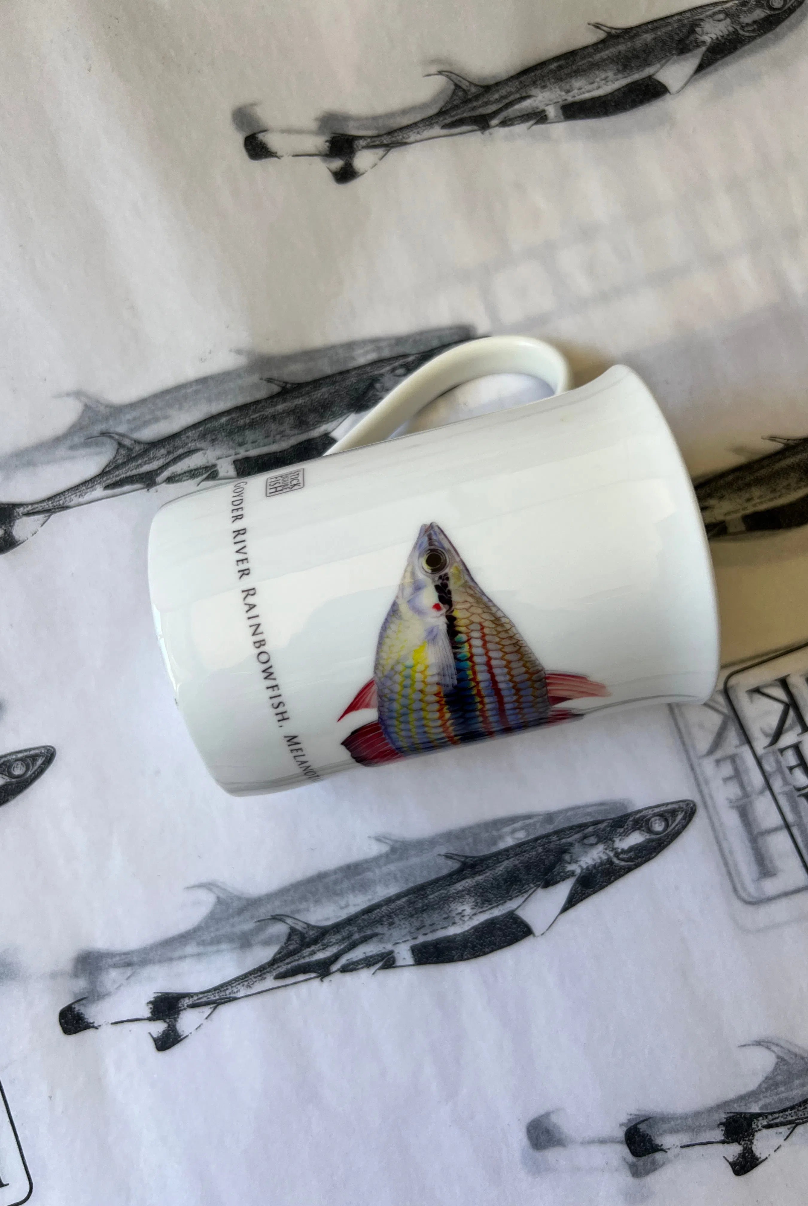 Goyder River Rainbowfish - Fine Bone China Mug-Stick Figure Fish Illustration