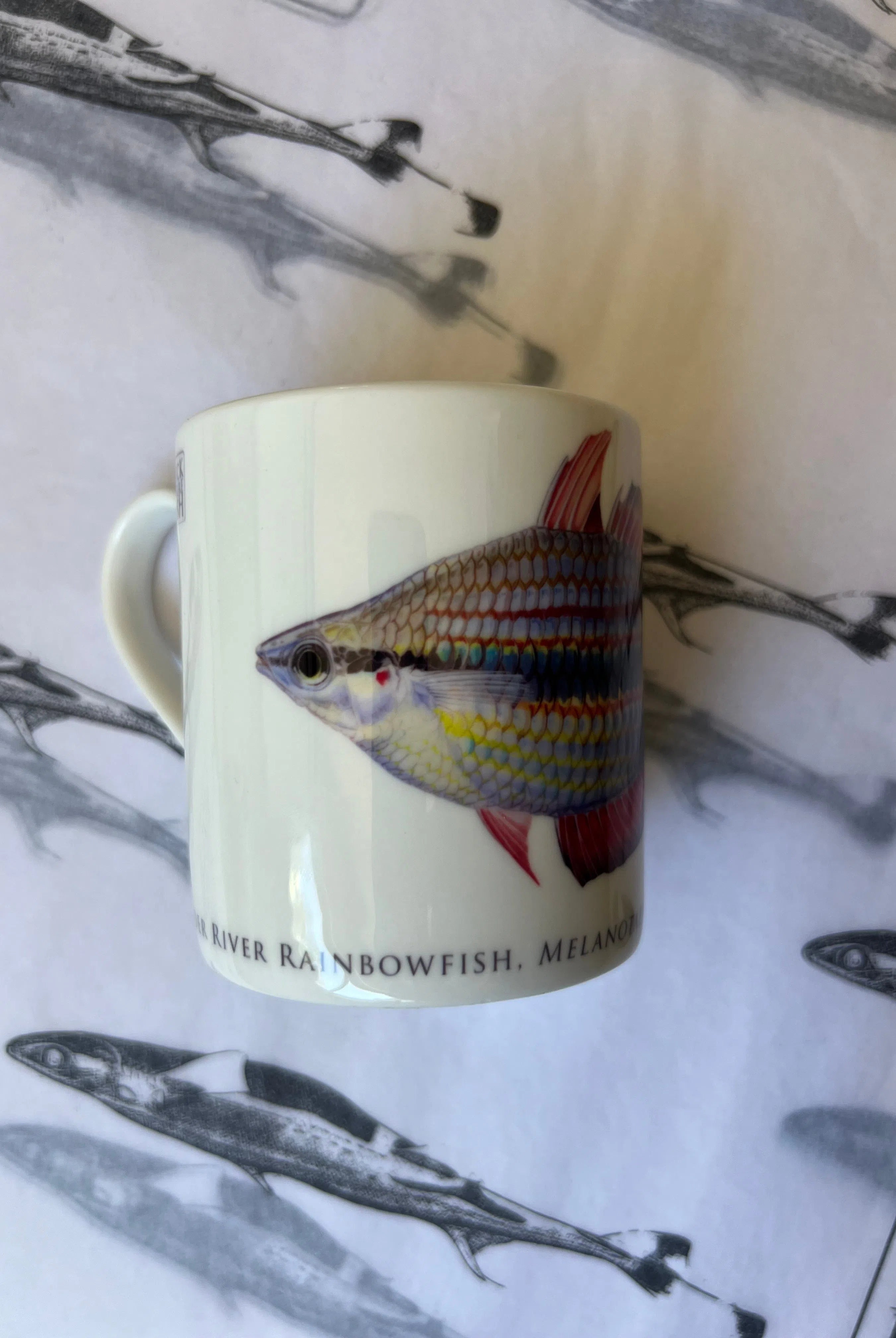Goyder River Rainbowfish - Fine Bone China Mug-Stick Figure Fish Illustration