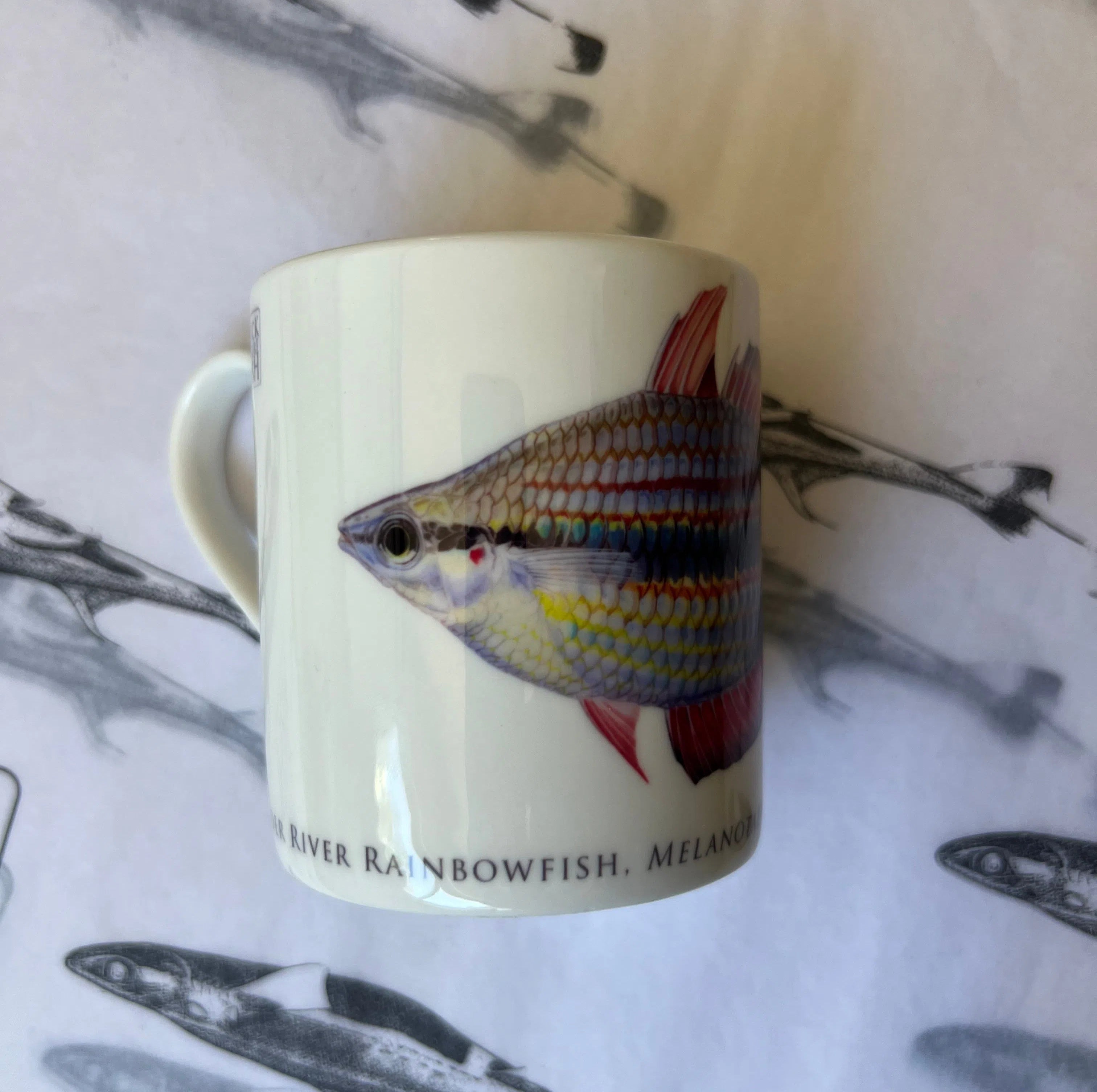 Goyder River Rainbowfish - Fine Bone China Mug-Stick Figure Fish Illustration