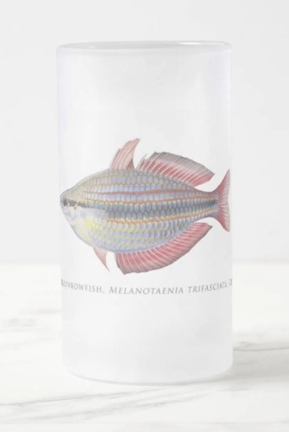 Goyder River Rainbowfish - Glass Stein-Stick Figure Fish Illustration