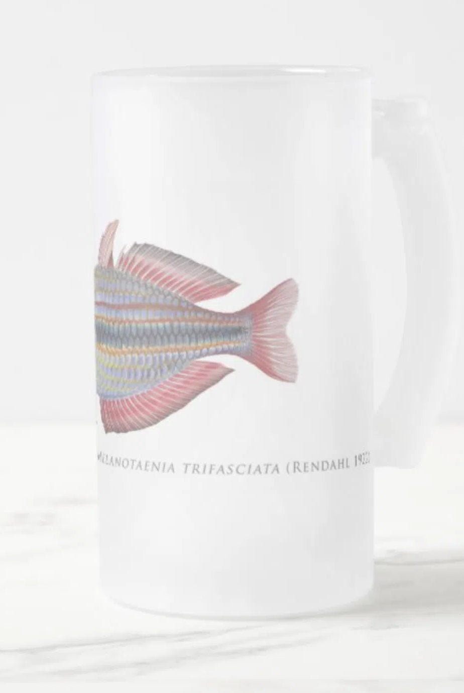 Goyder River Rainbowfish - Glass Stein-Stick Figure Fish Illustration