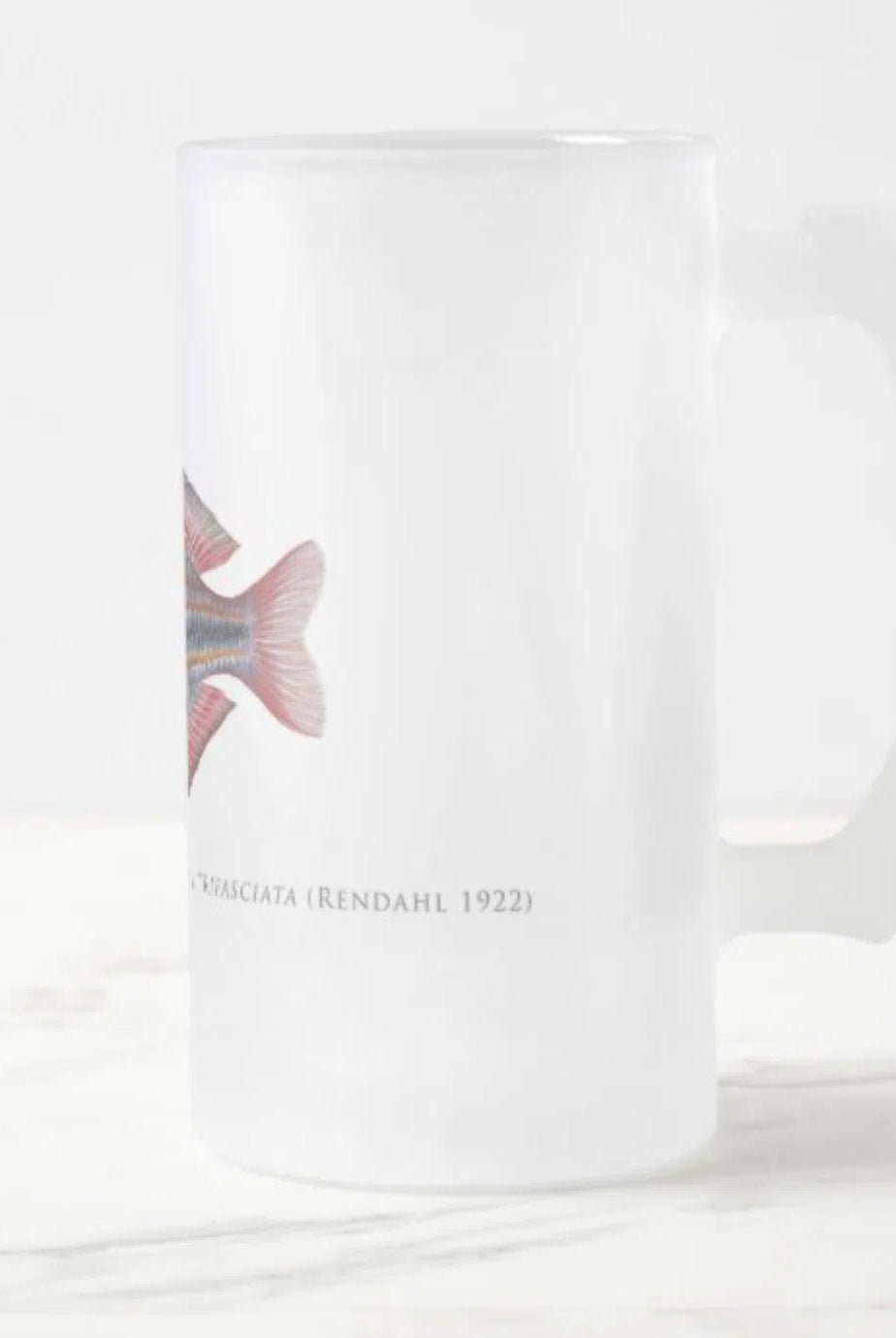 Goyder River Rainbowfish - Glass Stein-Stick Figure Fish Illustration