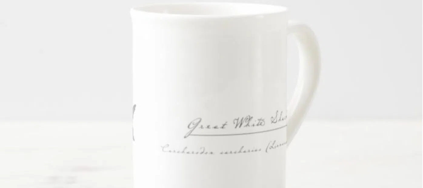 Great White Shark - Fine Bone China Mug-Stick Figure Fish Illustration