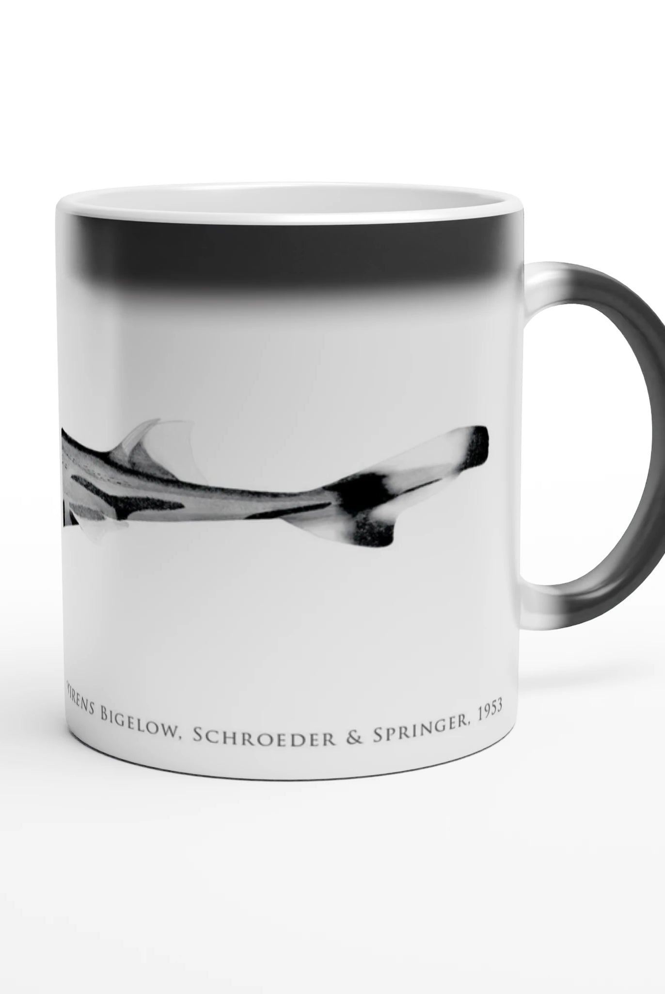 eacff1e9-980c-4c4c-ba59-784eaca54484