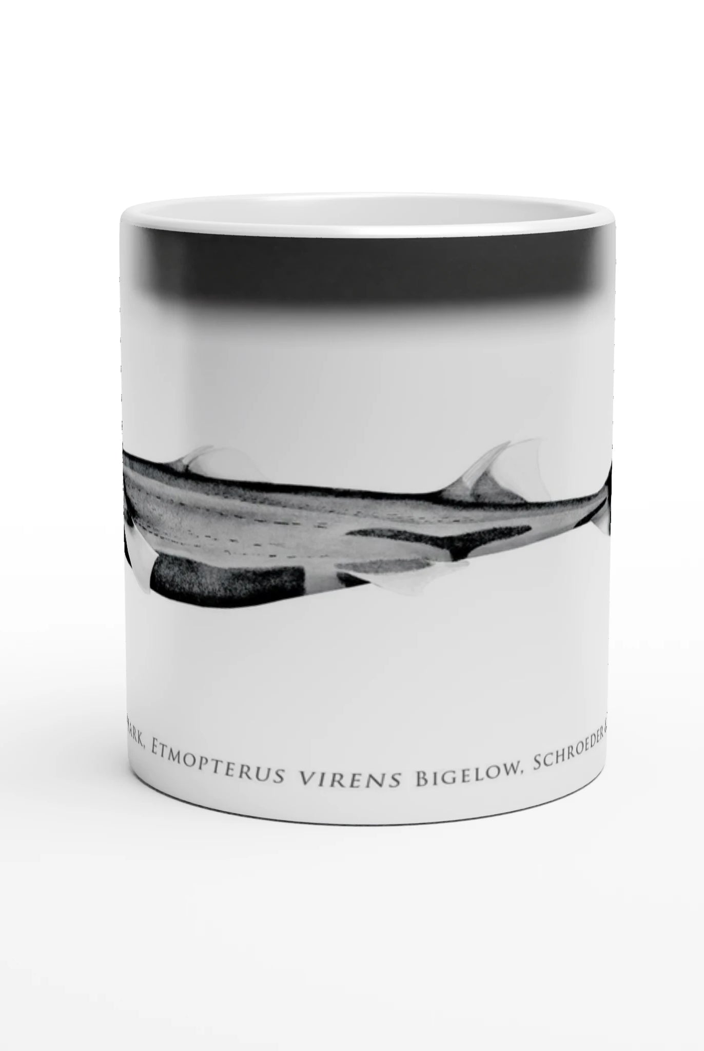 b9e2531b-e1b5-41b7-adb2-398165113454