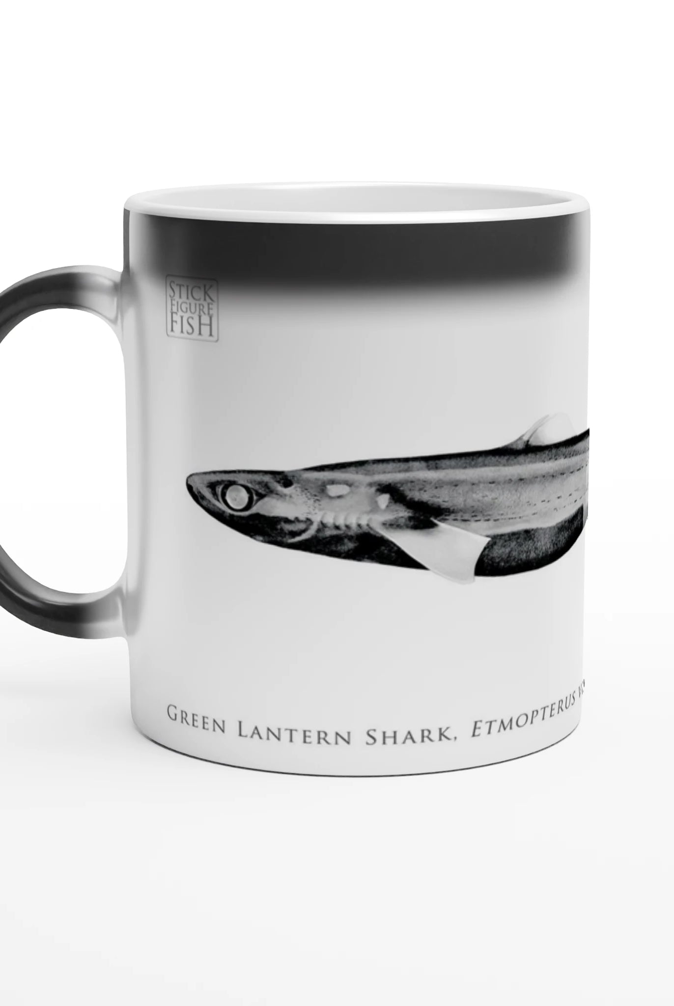 24f174fc-0c41-41cc-aea6-dda5b872442d